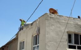 Elektrik akımına kapılan çift hayatını kaybetti