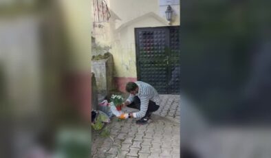 Genç imam görev yaptığı köy camisinin çehresini güzelleştirdi