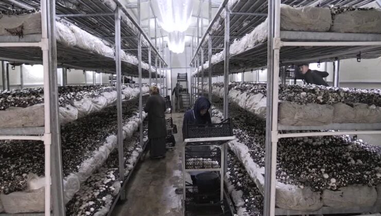 Ev hanımıyken başladı, 30 kişiye istihdam sağladı