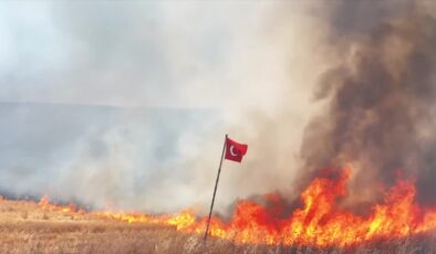 Lalapaşa’da 400 dekar tarla alevlere teslim oldu