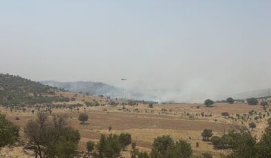 Mardin’de ormanlık alanda çıkan yangına müdahale ediliyor