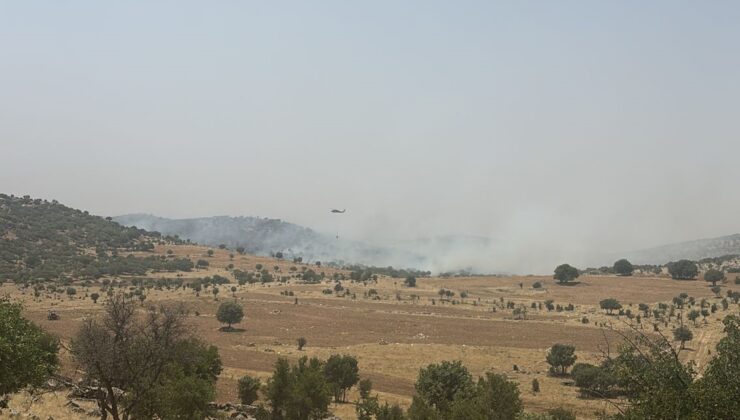Mardin’de ormanlık alanda çıkan yangına müdahale ediliyor