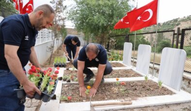 Mardin’de şehit kabirlerinde bakım ve yenileme çalışması yapıldı