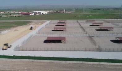 Muş’ta Hayvan Barınağı ve Doğal Yaşam Alanı inşaatında son aşamaya gelindi