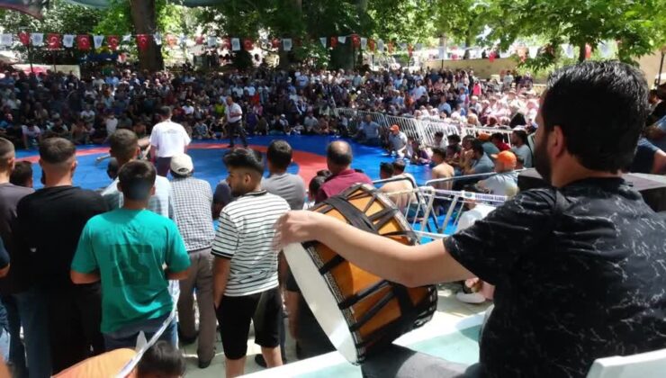 Mut’ta düzenlenen Karacaoğlan Kayısı, Kültür ve Sanat Festivali sona erdi