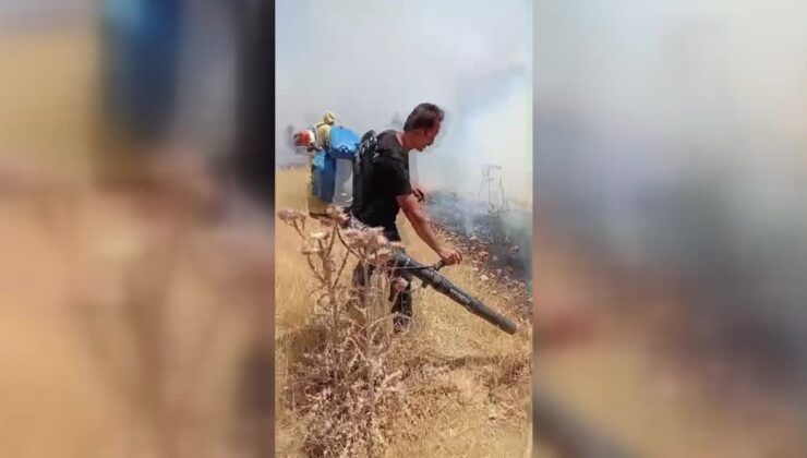 Mazıdağı’nda orman yangını kontrol altına alındı