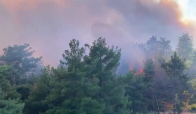 Boztahta’da orman yangınına havadan ve karadan müdahale