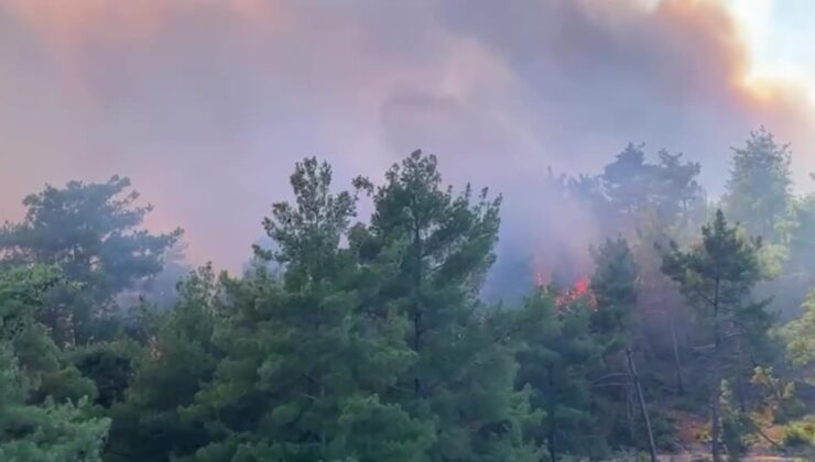 Boztahta’da orman yangınına havadan ve karadan müdahale