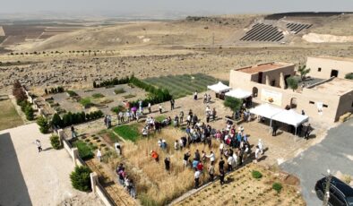 Şanlıurfa’da Slow Wheat Şanlıurfa 2025 etkinliği düzenlendi