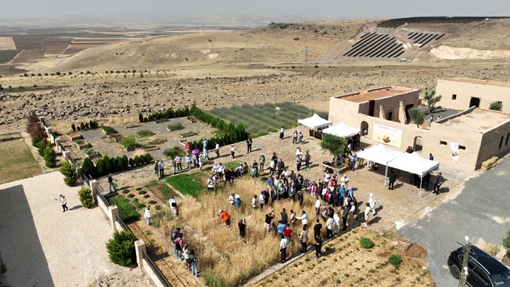 Şanlıurfa’da Slow Wheat Şanlıurfa 2025 etkinliği düzenlendi