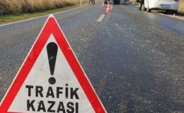 Şanlıurfa’da ağaca çarpan motosikletteki 2 kişi yaralandı