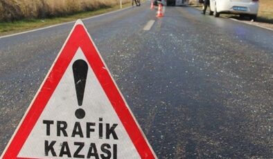 Şanlıurfa’da ağaca çarpan motosikletteki 2 kişi yaralandı