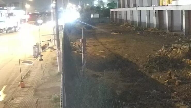 Sahipsiz köpeklerin saldırısında yaralanan mühendis, manevi tazminat davasını kazandı