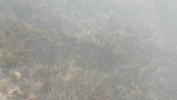 Sakarya’dan Bilecik tarafına sıçrayan yangında çok sayıda ev zarar gördü