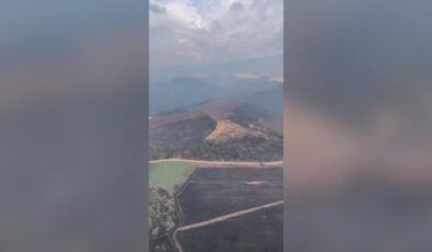 Sakarya’dan Gölpazarı’na sıçrayan yangın kontrol altında