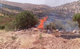 Savur ve Kızıltepe’de çıkan yangınlar söndürüldü