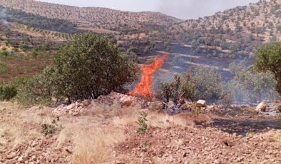 Savur ve Kızıltepe’de çıkan yangınlar söndürüldü