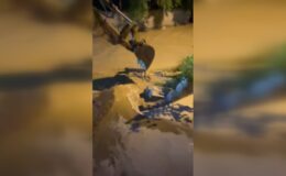 Sel nedeniyle 1 ev çöktü, hasar gören 3 ev boşaltıldı