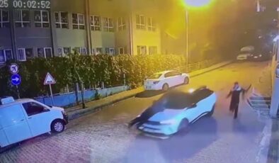 Suç örgütüne yönelik operasyonda 22 zanlı yakalandı