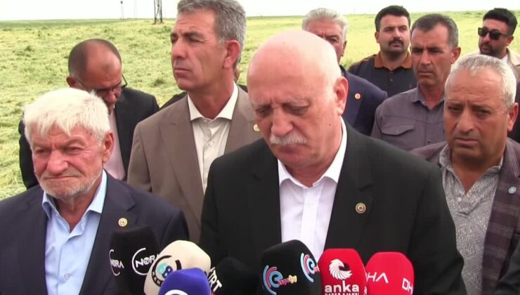 TZOB Genel Başkanı Bayraktar, zirai dondan etkilenen tarım alanlarını inceledi