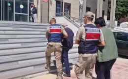 Yerlikaya: 446 kaçak göçmen yakalandı