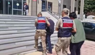 Yerlikaya: 446 kaçak göçmen yakalandı