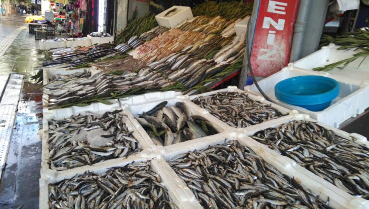 Et fiyatları uçtu, balık tezgâhları ucuzladı
