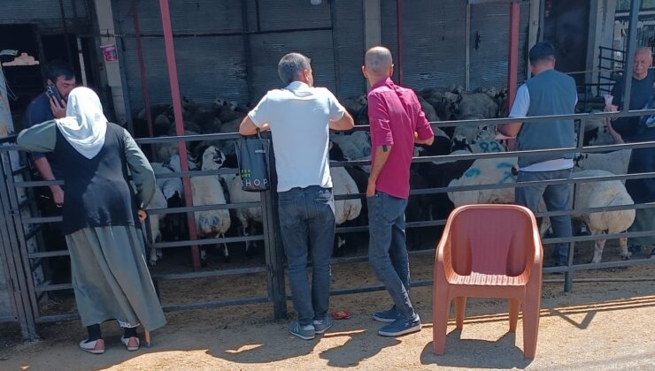 Diyarbakır’da Kurban Pazarlarında Arefe Günü Yoğunluğu
