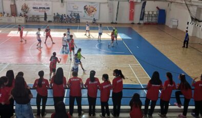 Diyarbakır’da Analig Hentbol heyecanı devam ediyor