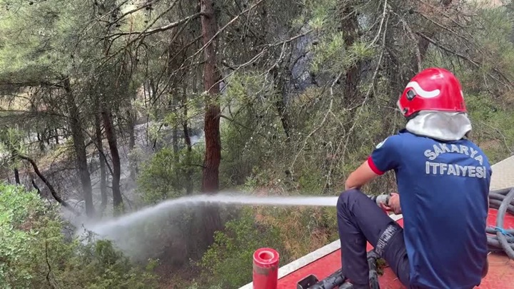 Çıkan orman yangınında söndürme ve soğutma çalışmaları sürüyor