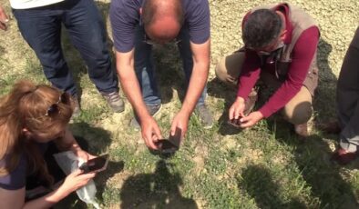 Keşfedilen yeni bitki türüyle ilgili bölge halkı bilgilendirildi
