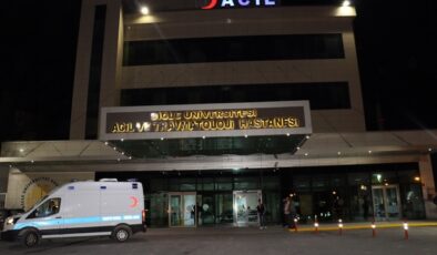 Dicle ilçesinde yılanın ısırdığı çoban hayatını kaybetti