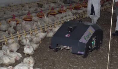 Yapay zekâ destekli BroBot kümeslerde test edilmeye başlandı