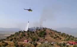 Zeytinlik alanda çıkan yangın kontrol altına alındı