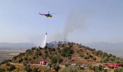 Zeytinlik alanda çıkan yangın kontrol altına alındı