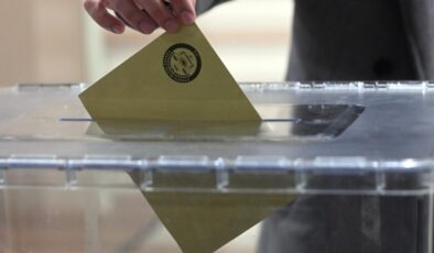 Kulp Alaca’da sandıktan Aslan çıktı