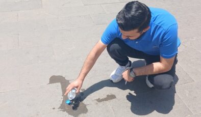 Ebabil kuşu sıcağa dayanamadı
