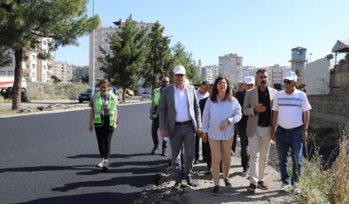 Eş Başkanlar, asfalt ve peyzaj çalışmalarını yerinde inceledi