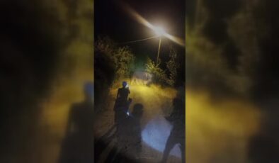 Kaçarken 1 kişiyi yaralayan boğa uyuşturucu iğneyle vurularak yakalandı