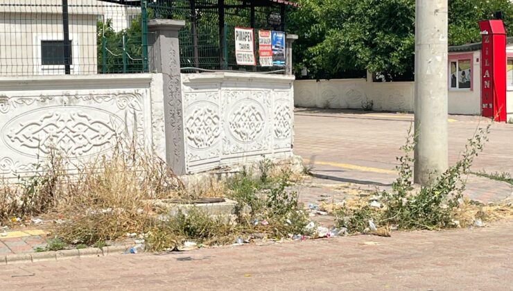 Modern Mahallede Ortaçağ Manzarası: Kaldırımlar otlarla kaplandı