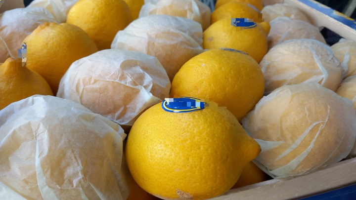 Mayıs ayında zam şampiyonu limon ve elma oldu!