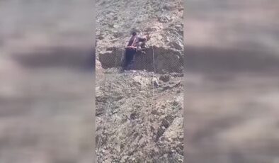 Koruma tellerine takılan yaban keçisi kurtarıldı