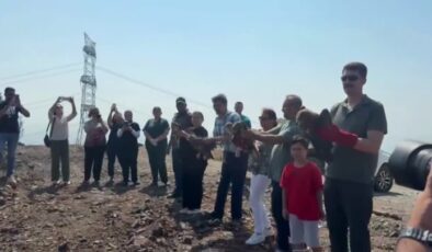 11 yaralı kuş tedavilerinin ardından doğaya salındı