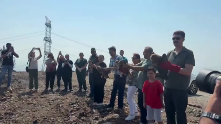 11 yaralı kuş tedavilerinin ardından doğaya salındı