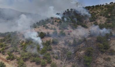Adıyaman’da ormanlık alanda çıkan yangın kontrol altına alındı