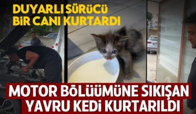 Atakum’da duyarlı sürücü küçük bir canı hayata bağladı