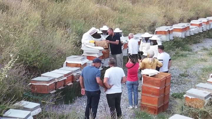 Bitlis Eren Üniversitesi kampüsünde bal hasadı yapıldı