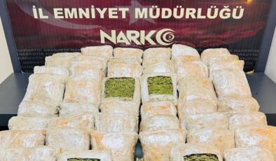 Batman’da derin dondurucuda 15 kilogram skunk ele geçirildi