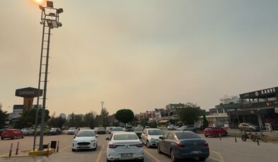 Bilecik’teki orman yangınının dumanı Eskişehir’e ulaştı