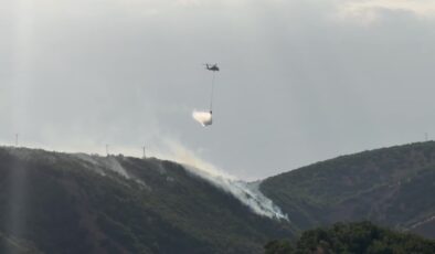Bingöl’de çıkan orman yangınlarına müdahale ediliyor